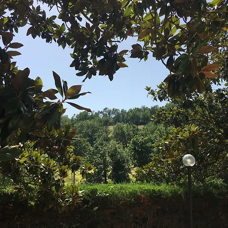 Valdolivo *