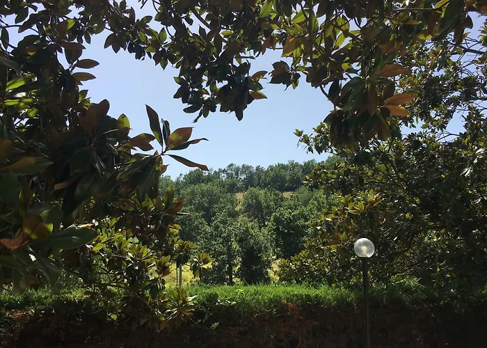 Valdolivo *