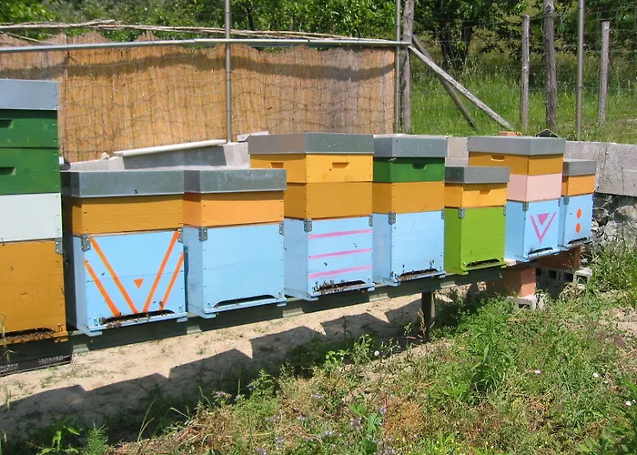 Valdolivo Cogoleto