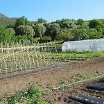 Valdolivo * Cogoleto