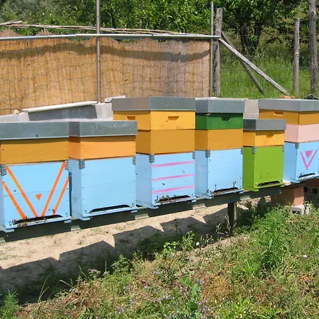 Valdolivo Cogoleto